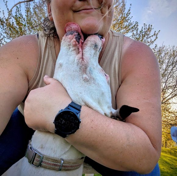 Meet your Posher, Trisha - Picture 1 of 1